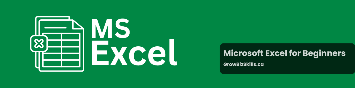 Microsoft Excel 2024 for Beginners